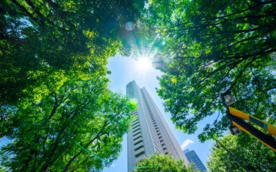 What Is Low-Carbon Concrete? A Practical, No-Nonsense Explanation